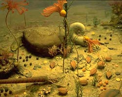 Paleozoic scene