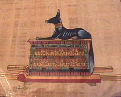 Anubis chest