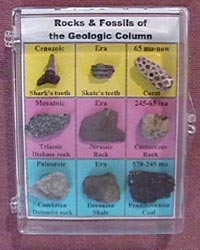 Rocks & Fossils of the Geologic Column