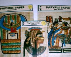 Egyptian Papyrus