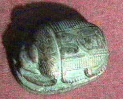 Large Scarab