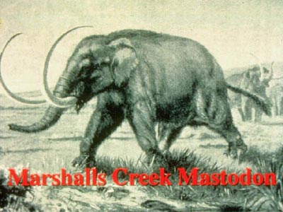 Marshalls Creek Mastodon