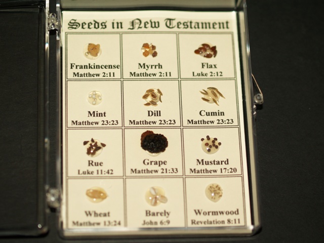 Seeds in the New Testament - Click Image to Close