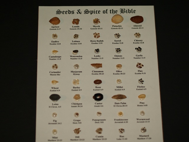 Seeds of the Bible Plaque - Click Image to Close