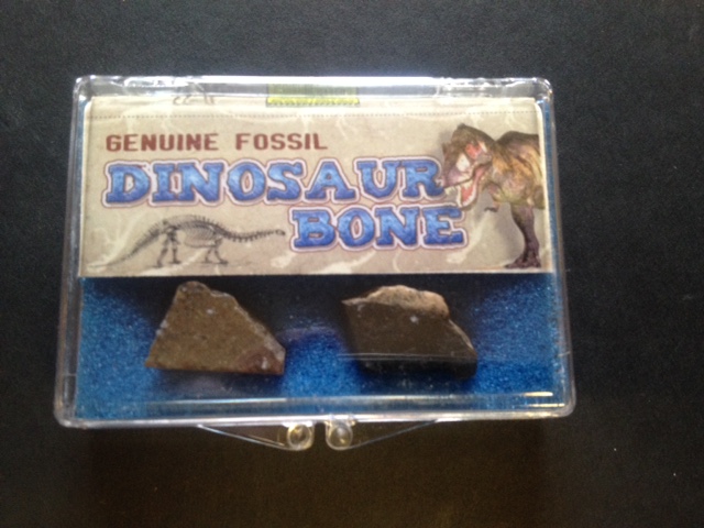 Dinosaur Bones - Click Image to Close