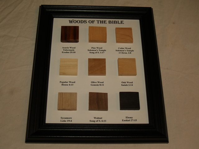 Woods of the Bible plaque
