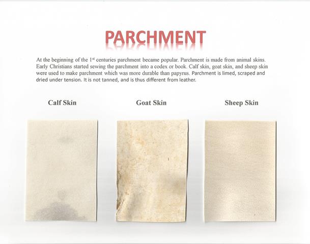 Parchment Samples