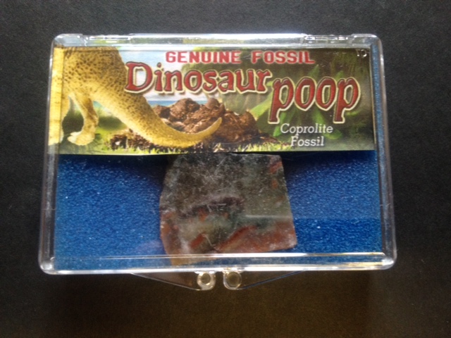 Dinosaur Poop