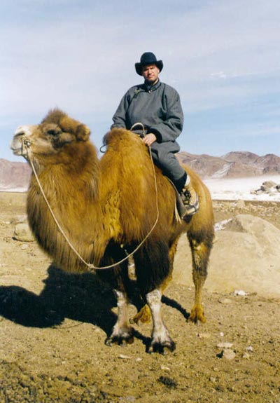 Man on camel