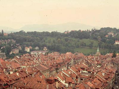 Red European Rooftops