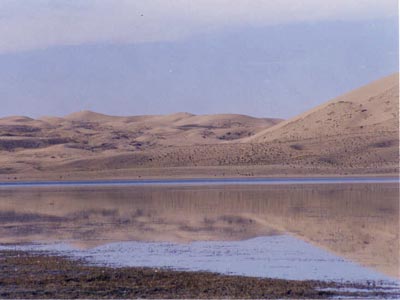 The Gobi Desert