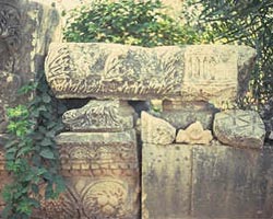 Stone carving at Capernaum
