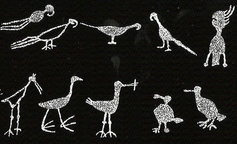 birds3