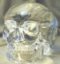skull