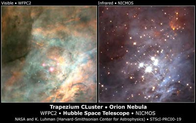 Trapezium Cluster and Orion Nebula