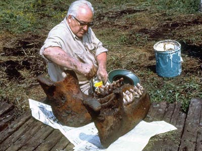 Preparing the jaw bone