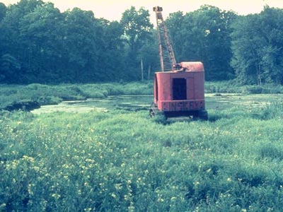 Dredging the Bog