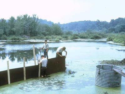 Building dam around bones