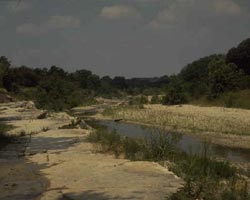 Paluxy River