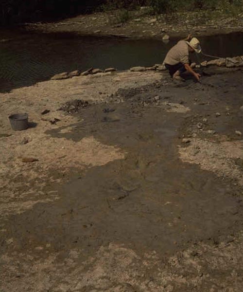 Footprint trail along Paluxy River